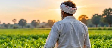 A farmer looking over a green field at sunrise