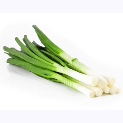 Golden Hills Leek Onion Seeds