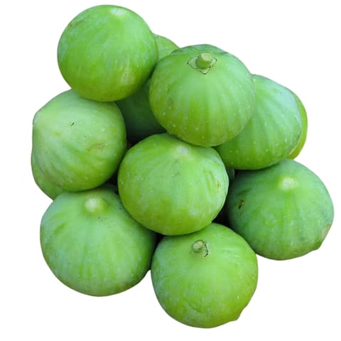 Golden Hills Tinda Gourd Seeds