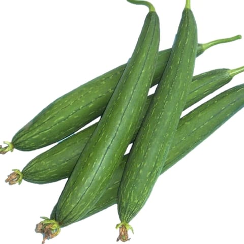 Golden Hills Sponge Dark Green Gourd Seeds