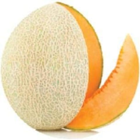 Golden Hills Muskmelon Maduradas Seeds