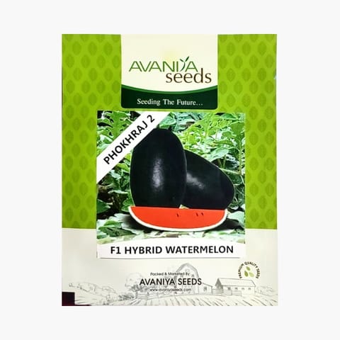 Avaniya Pokhraj 2 Watermelon Seeds