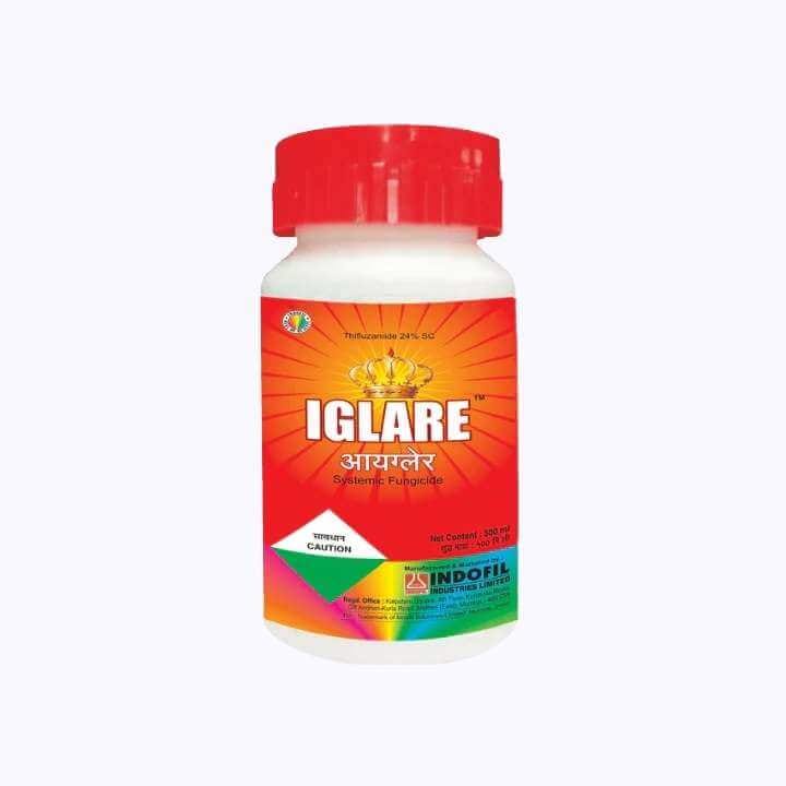 Indofil Iglare Systemic Fungicide