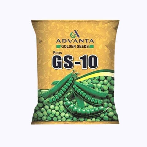 Advanta Golden Seeds - GS- 10 Pea (मटर)