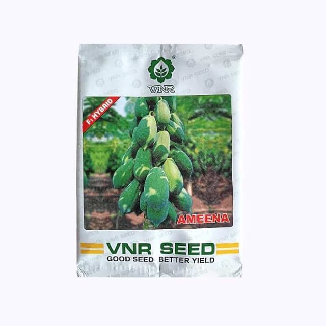 VNR Ameena F1 Hybrid Papaya (पपीता ) Seeds