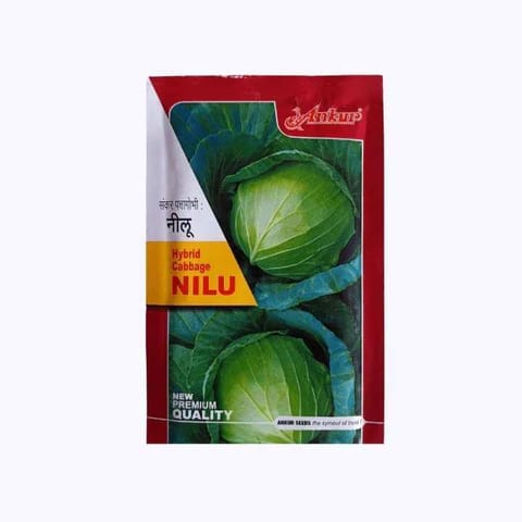 Ankur Nilu Cabbage Seeds - 10g