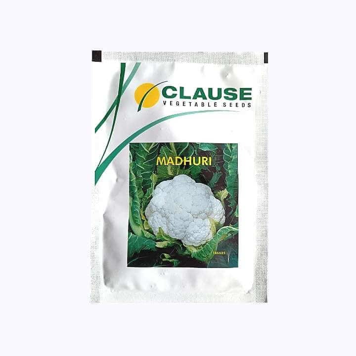 Clause Madhuri Cauliflower Seeds