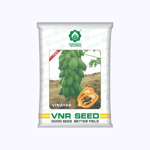 VNR వినాయక్ F1 హైబ్రిడ్ బొప్పాయి విత్తనాలు