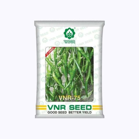 VNR 75 Chilli Seeds