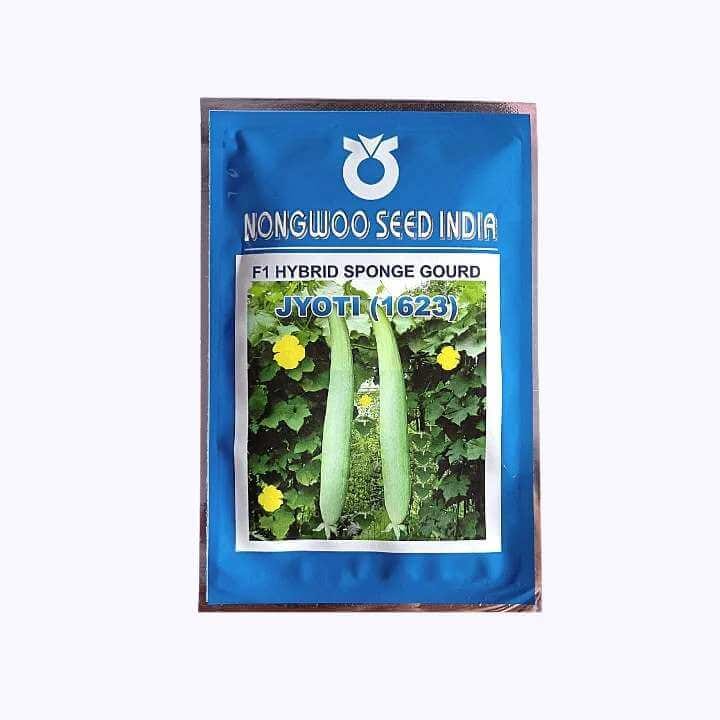 నోంగ్‌వూ జ్యోతి 1623 స్పాంజి పొట్లకాయ గింజలు