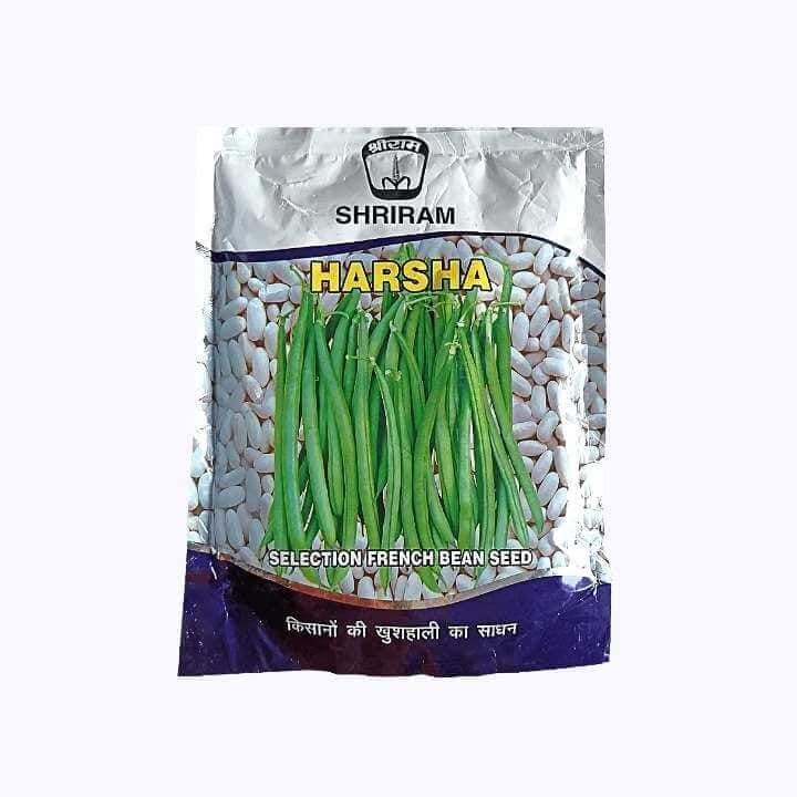 Shriram Harsha French Bean Seeds