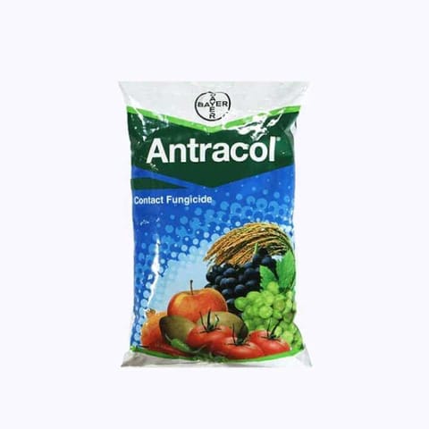 Bayer Antracol Fungicide