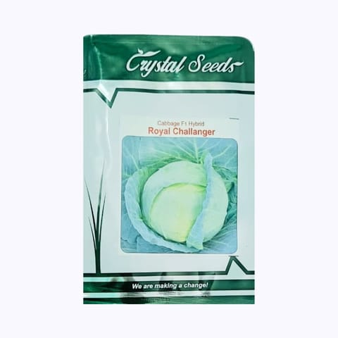 Crystal Royal Challanger Cabbage Seeds