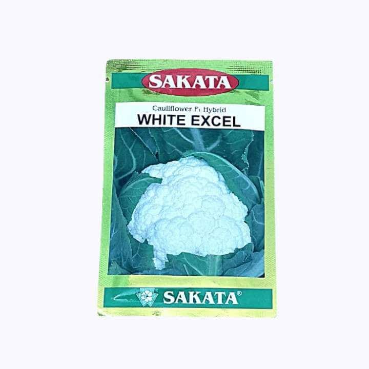 Sakata White Excel Hybrid Cauliflower Seeds