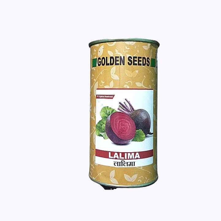 Golden Lalima Hybrid Beetroot Seeds