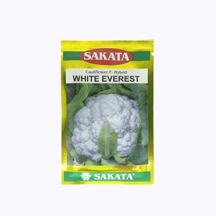 Sakata White Everest Cauliflower Seeds