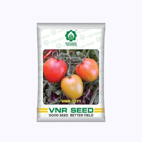 VNR 3171 Tomato Seeds