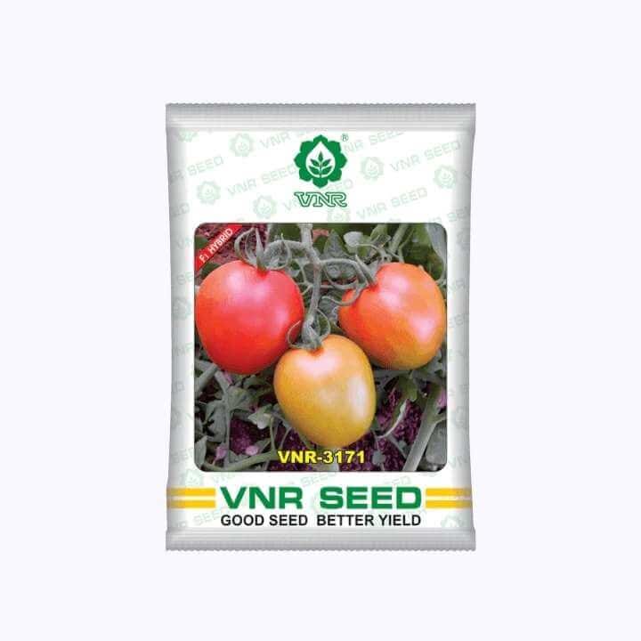 VNR 3171 Tomato Seeds