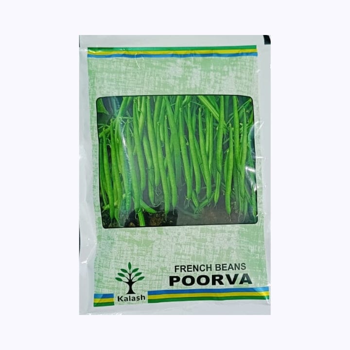 Kalash Poorva French Bean Seeds