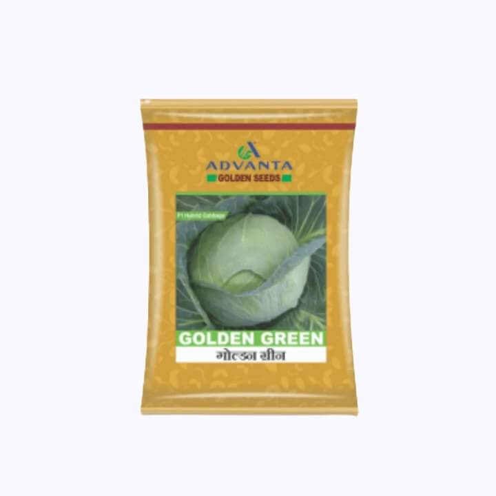 UPL Advanta Golden Green Cabbage Seeds