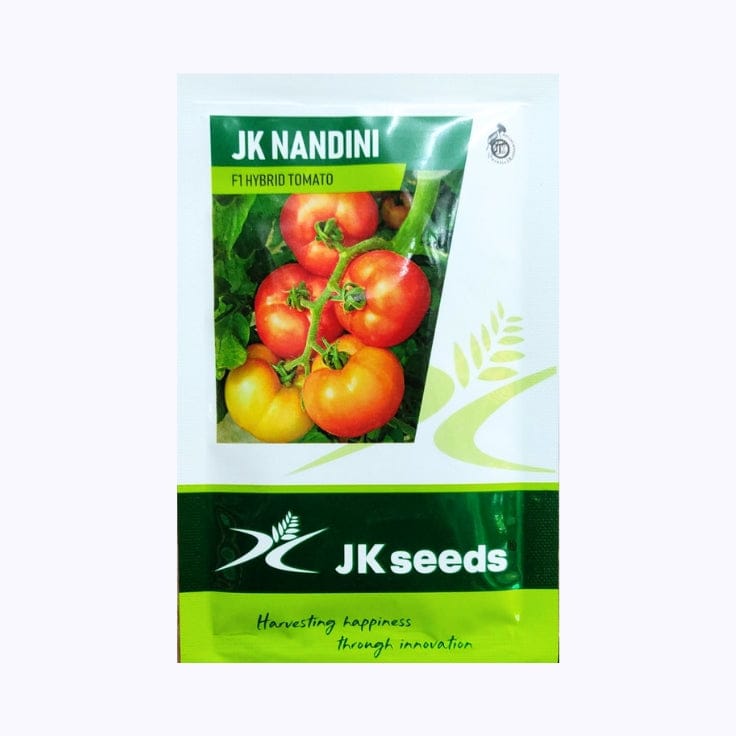 JK Nandini Tomato Seeds