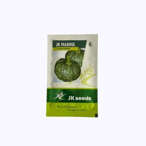 JK Madhul Pumpkin Seeds - 10 gm