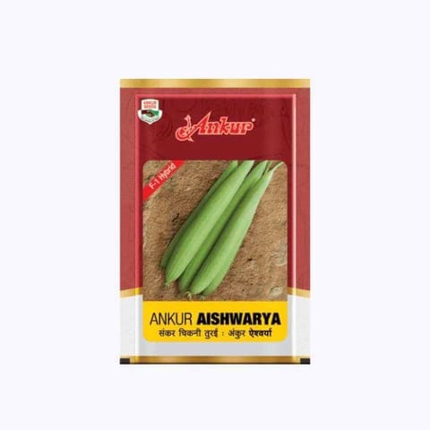 Ankur Aishwarya Sponge Gourd F1 Hybrid Seeds