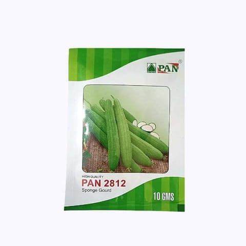PAN Sponge Gourd 2812 Seeds