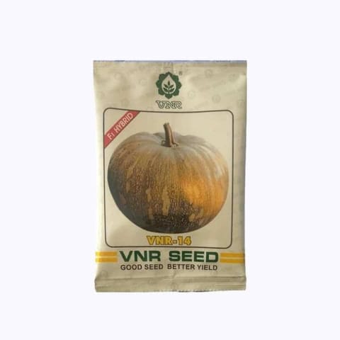 VNR-14 Hybrid Pumpkin Seeds