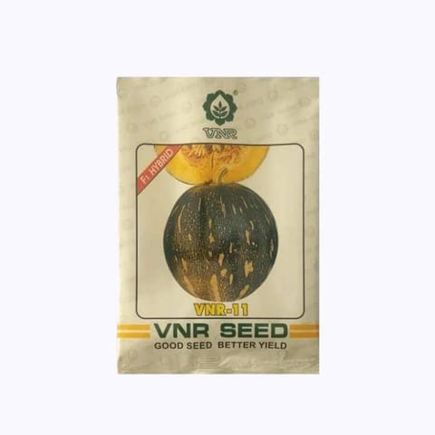 VNR-11 Pumpkin Hybrid Seeds