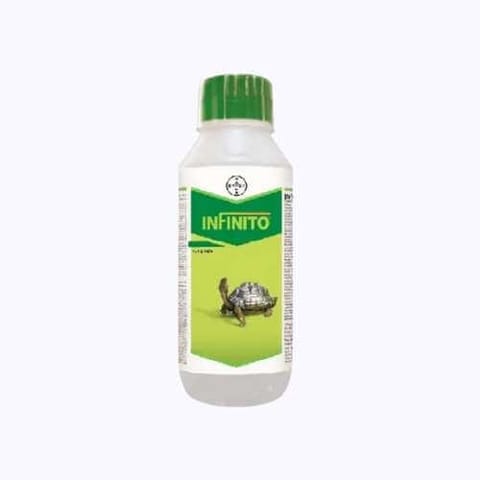Bayer Infinito Fungicide for Late blight (पछेती झुलसा)