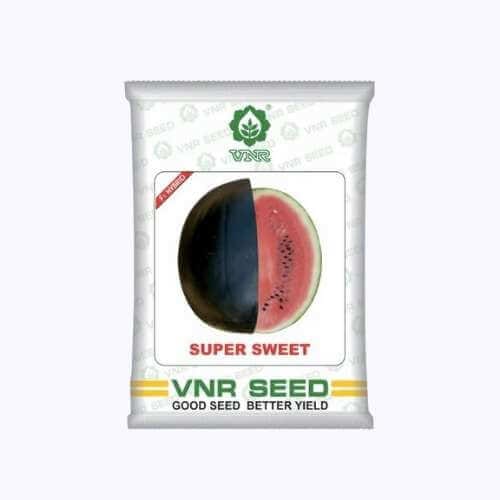VNR Super Sweet Water Watermelon Seeds