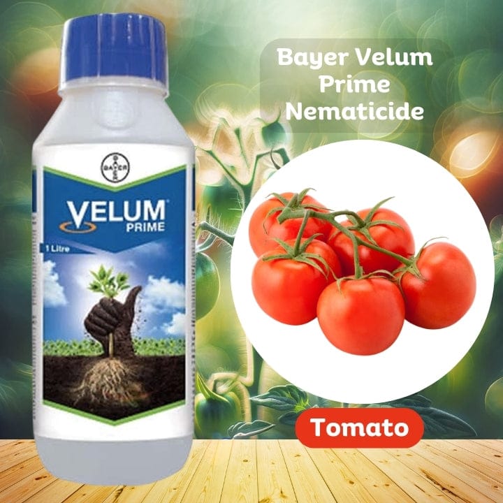 Bayer Velum Prime Nematicide