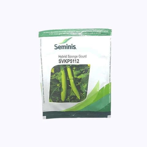 Seminis Hybrid Sponge Gourd Seeds - SVKP5112