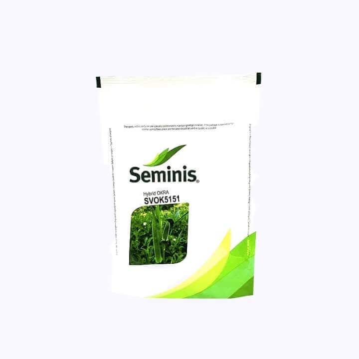 Seminis SVOK 5151 Okra (भिंडी) Seeds