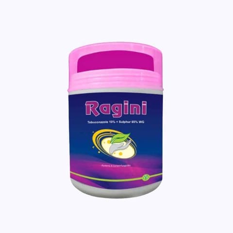 एएनयू रागिनी (टेबुकोनाज़ोल 10%+सल्फर 65% डब्ल्यूजी) कवकनाशी
