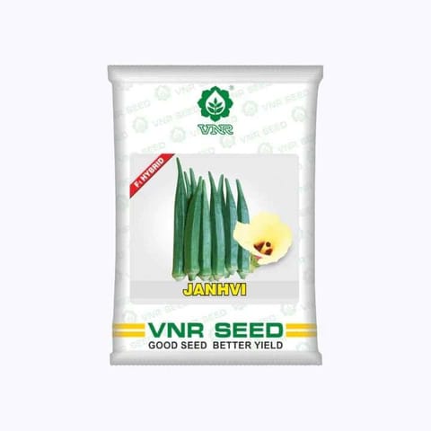 VNR Janhvi Okra Seeds