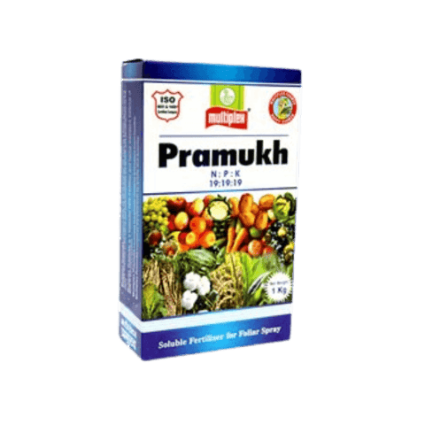 Multiplex Pramukh (N:P:K-19:19:19)
