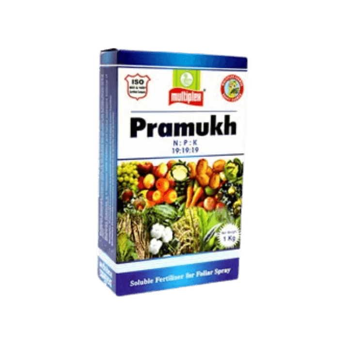 Multiplex Pramukh (N:P:K-19:19:19)