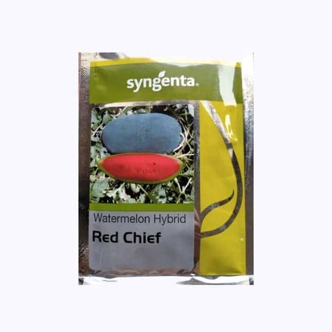Syngenta Red Chief Watermelon (तरबूज) Seeds