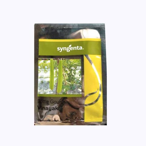 Syngenta Vinayak Bottle Gourd Seeds