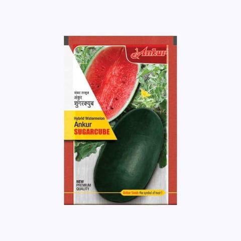 Ankur Sugarcube Watermelon Seeds
