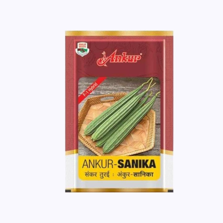 Ankur Sanika Ridge Gourd Seeds