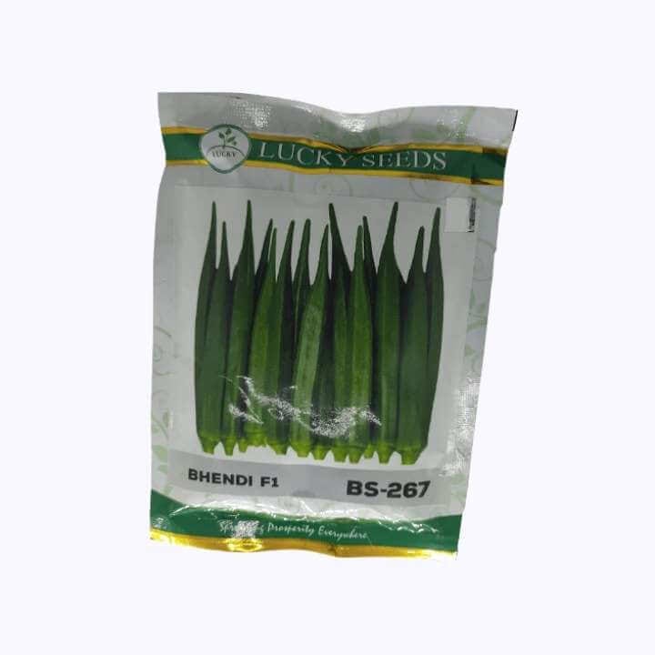 Lucky BS 267 Okra Seeds - 100 gm