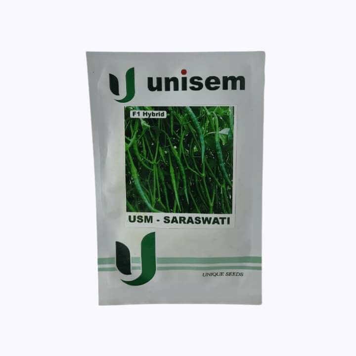 Unisem USM-Saraswati F1 Hybrid Chilli Seeds - 10 gm