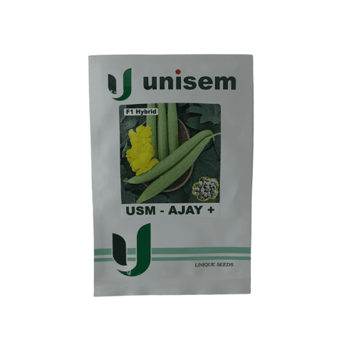 Unisem USM-Ajay+ F1 Hybrid Sponge Gourd Seeds - 10 gm