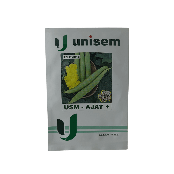 Unisem USM-Ajay+ F1 Hybrid Sponge Gourd Seeds - 10 gm