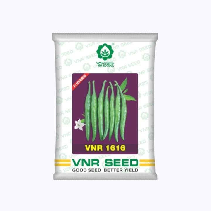 VNR 1616 మిరప గింజలు - 10 గ్రా