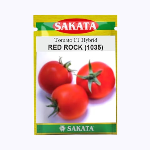 Sakata Red Rock (1035) Tomato Seeds