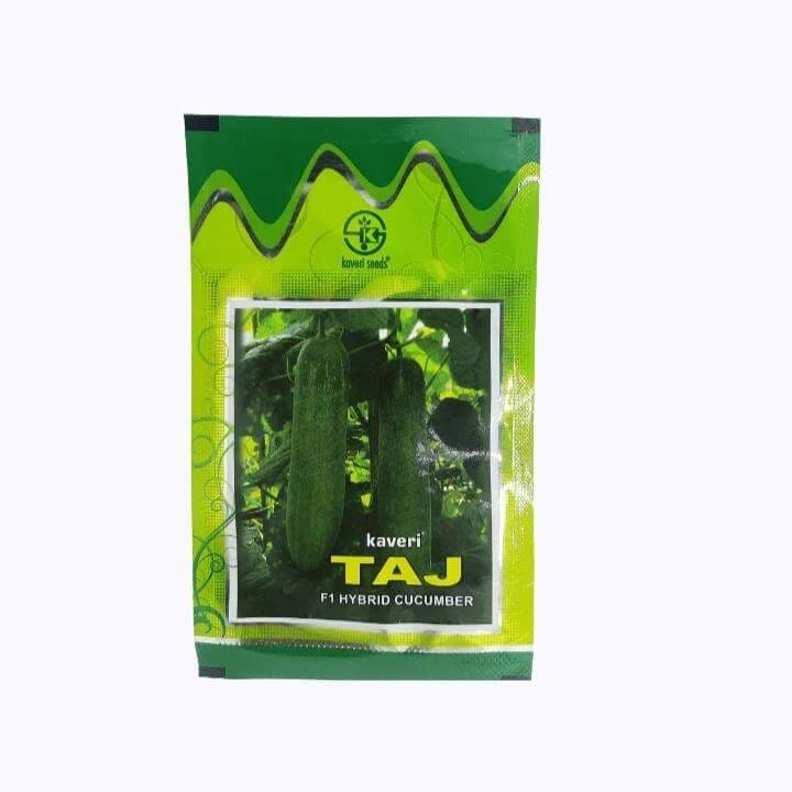 Kaveri Taj Cucumber Seeds - 10 gm